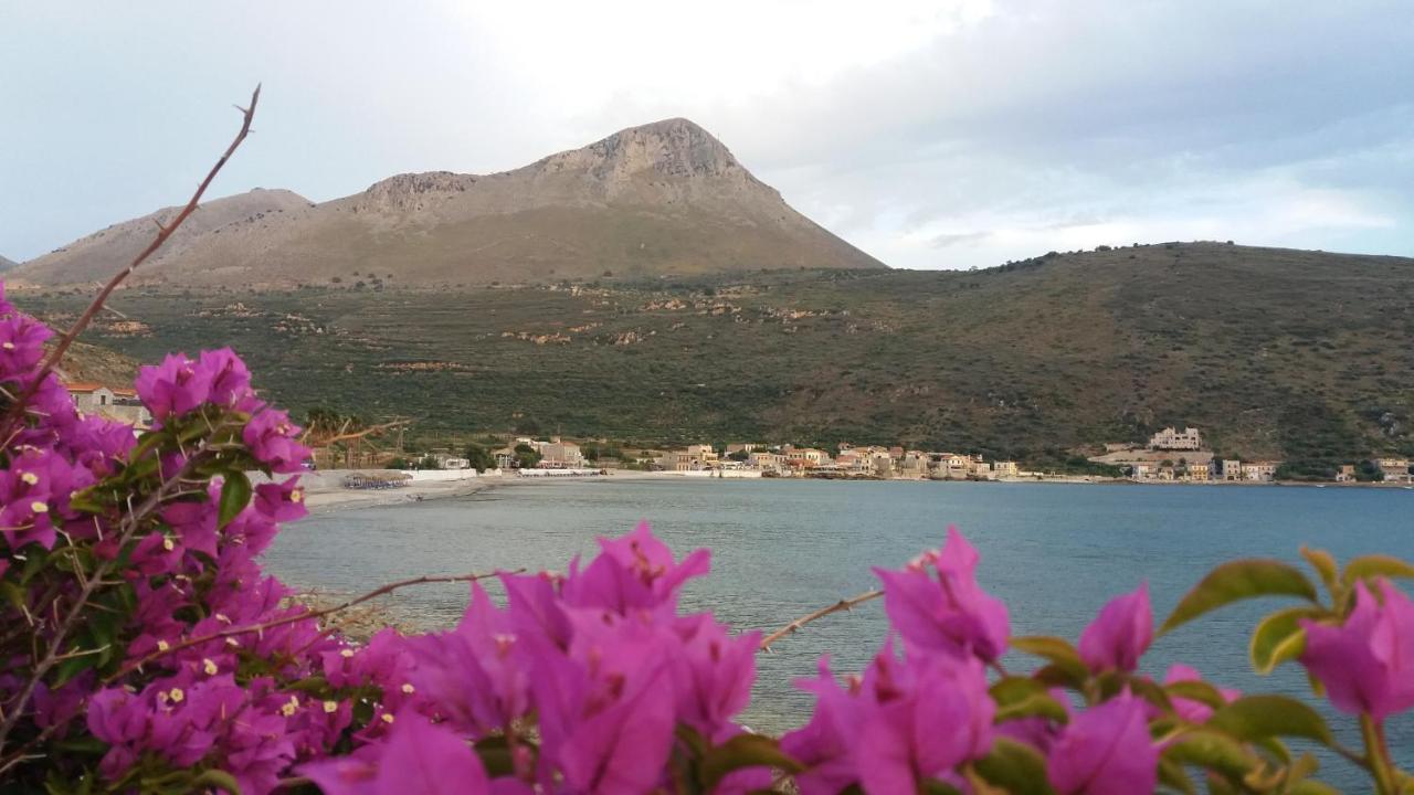 Elezar photo 4