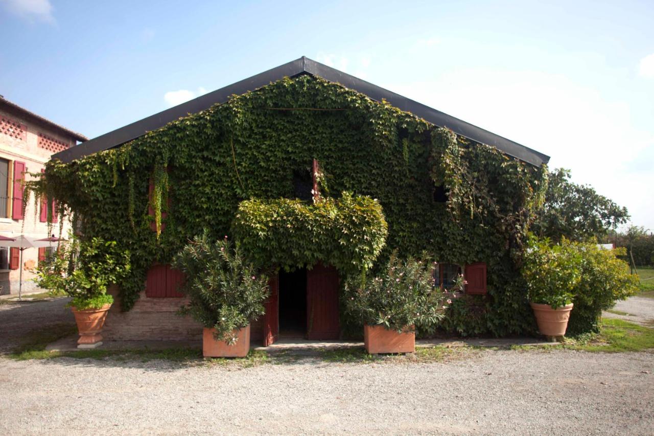 Agriturismo Il Bove photo 4