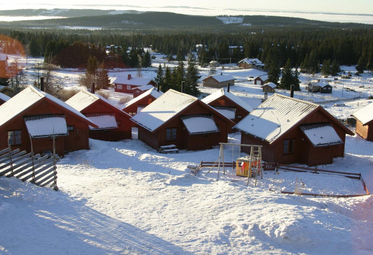 Nordseter Hytter photo 4
