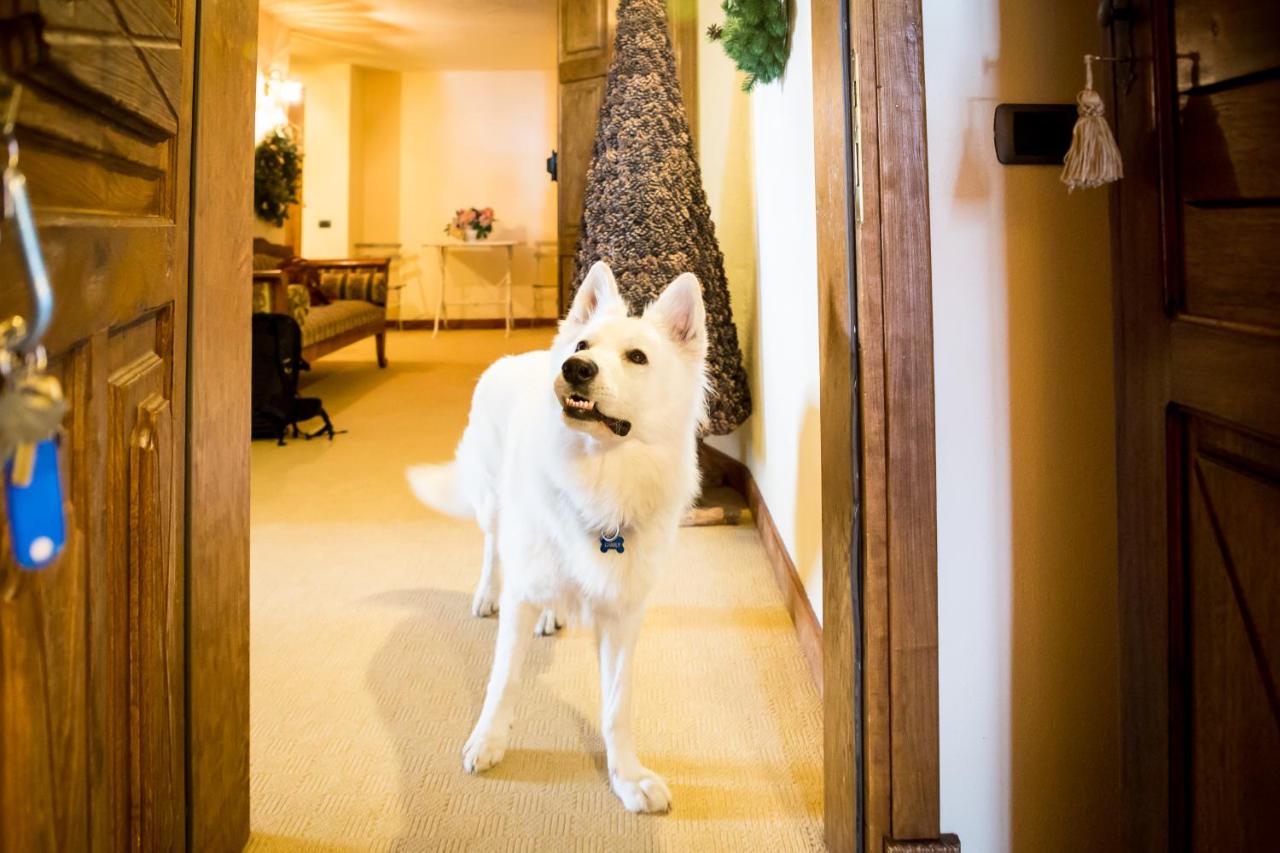 Hotel Lyshaus photo 3