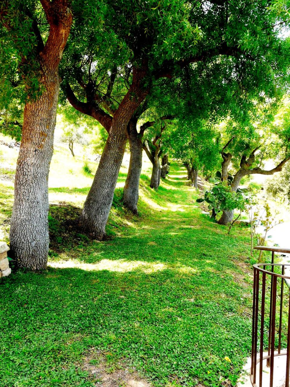 Casale Margherita Turismo Rurale photo 3