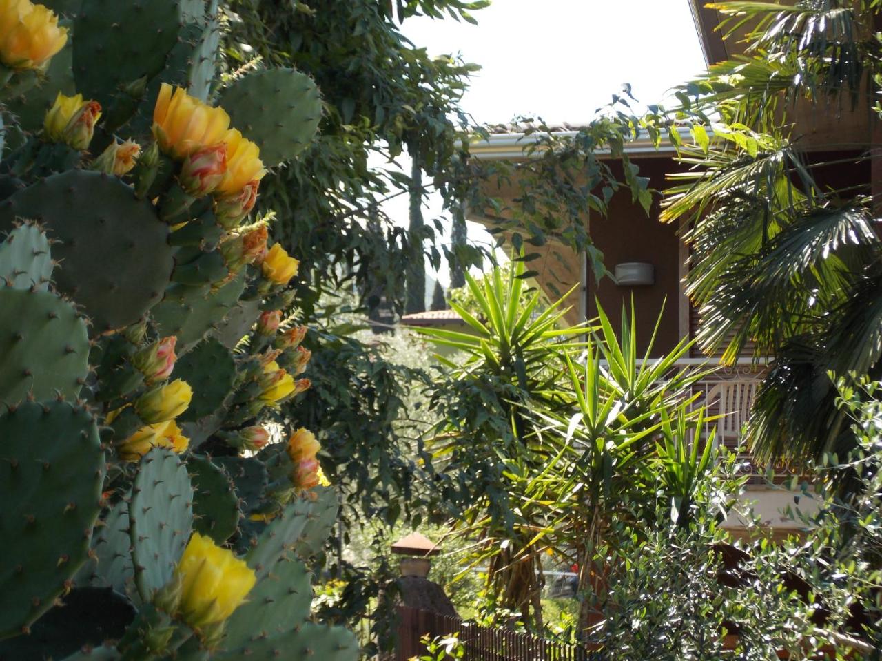 B&B Casa Sartori photo 2
