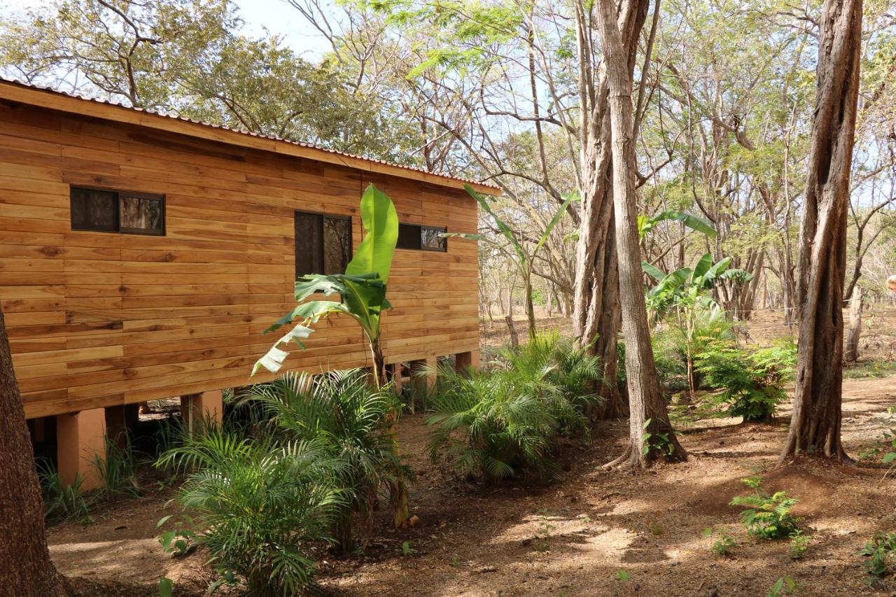 CASA NATURaL photo 2