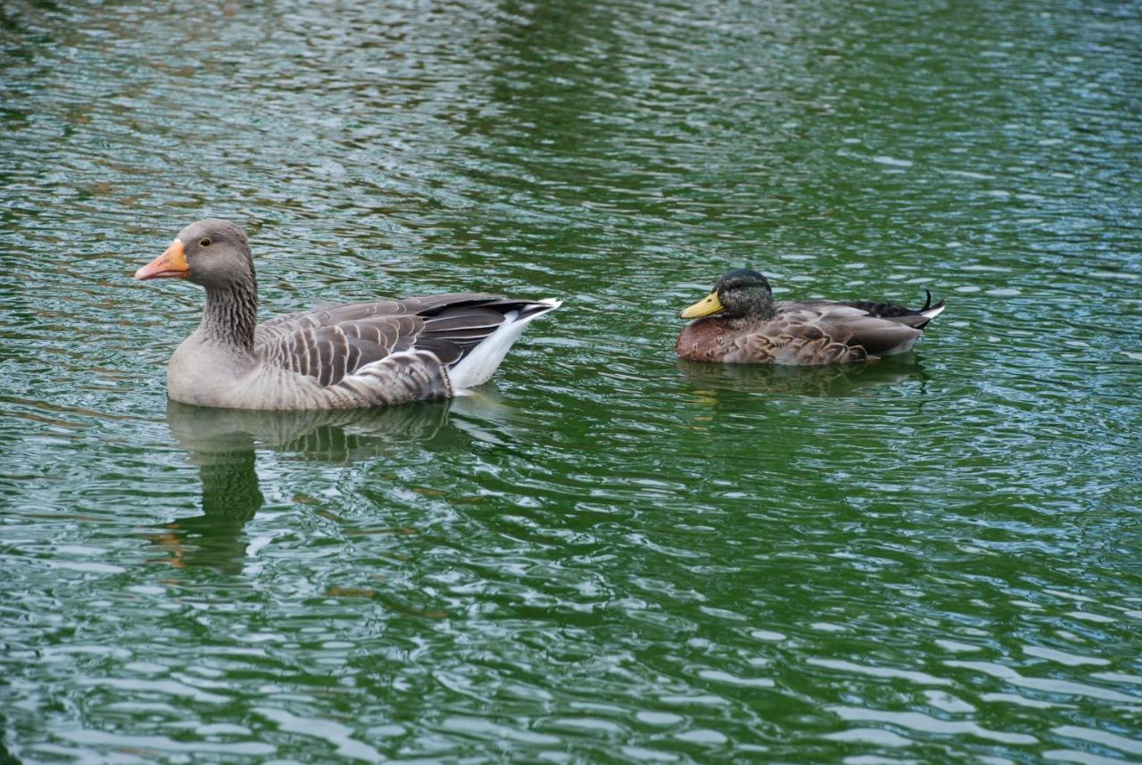 Domaine de Collen photo 3