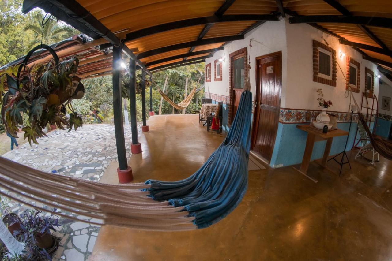 Entre Bosques Tayrona photo 4