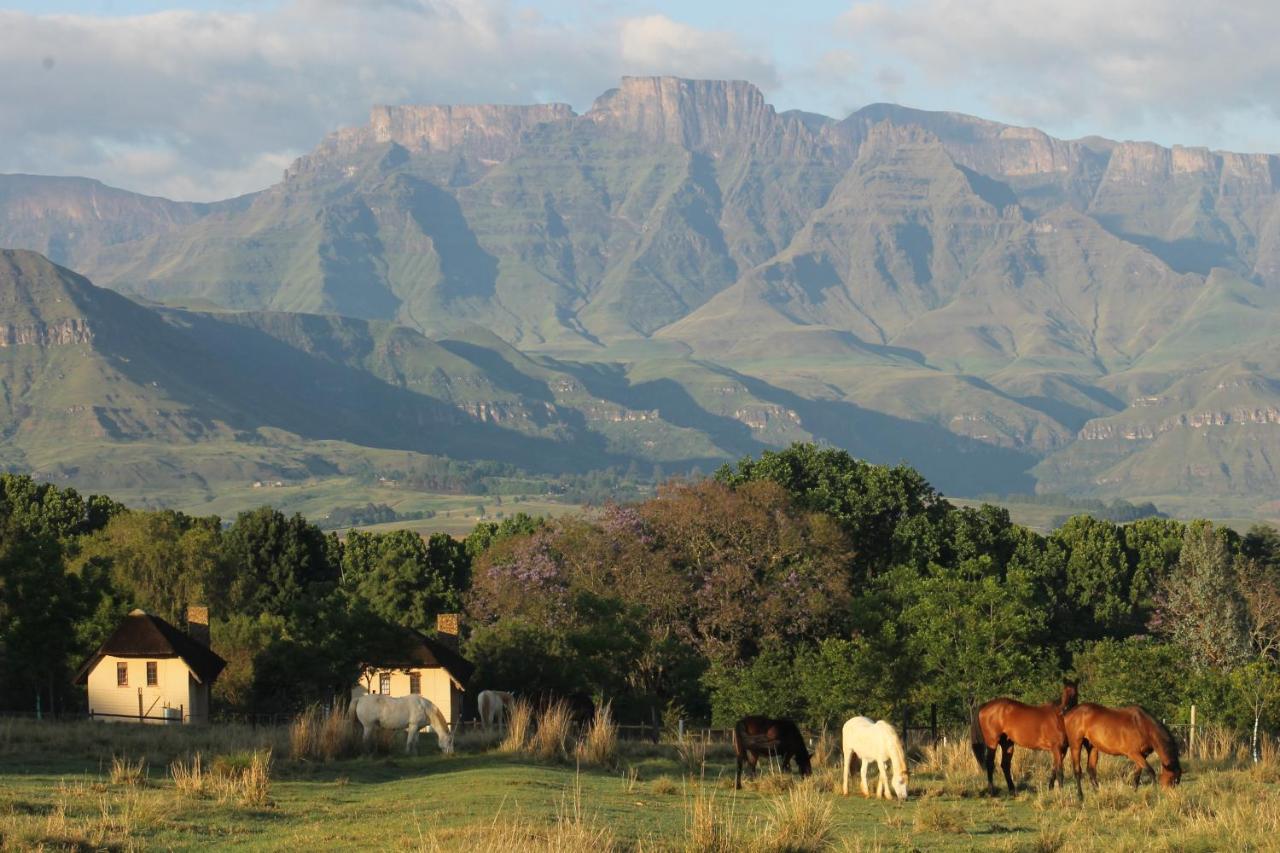 Ardmore Guest Farm