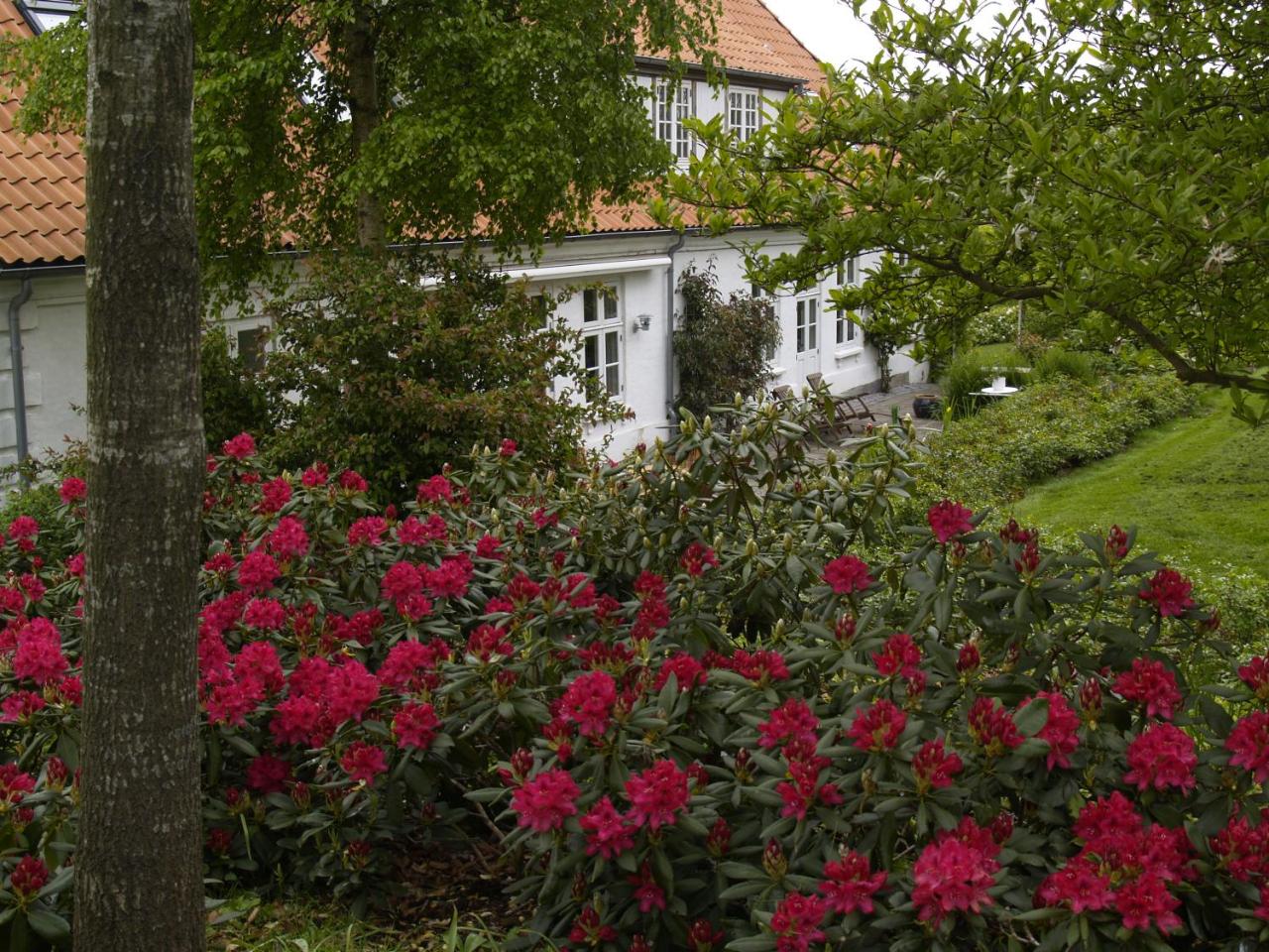 Juhl's Bed & Breakfast - 4