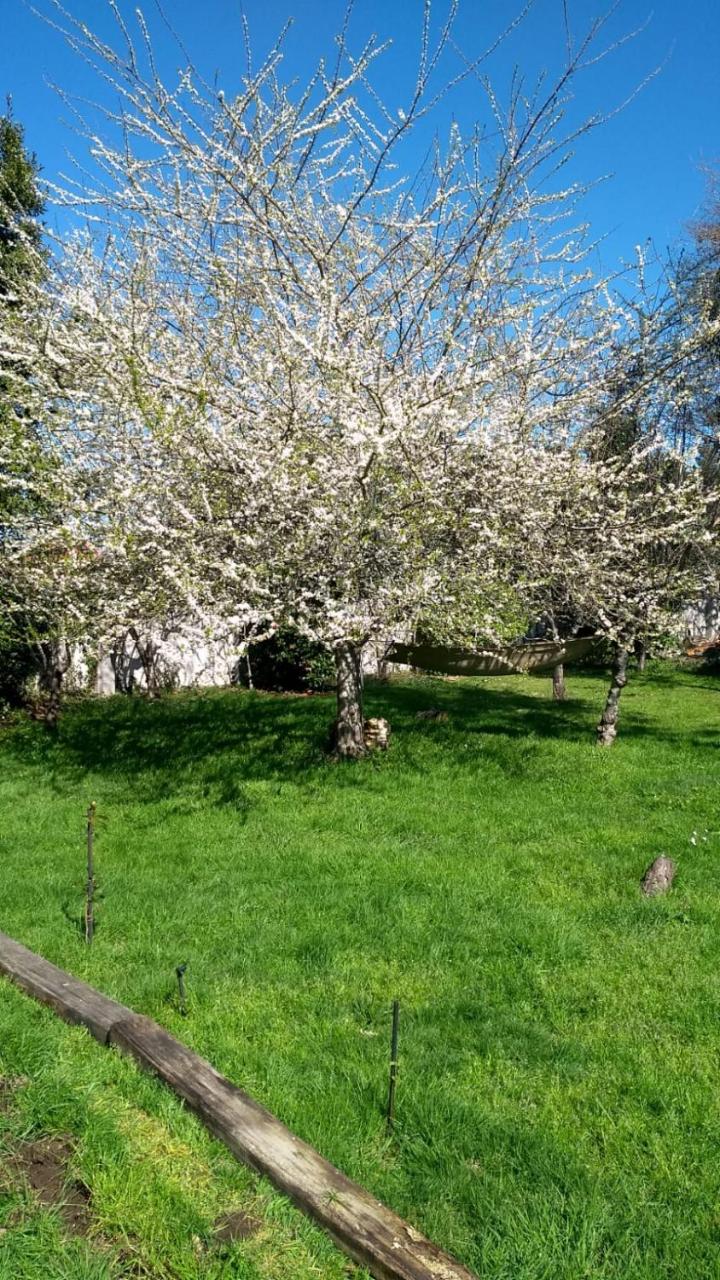 Twin Pines Camino Norte photo 4