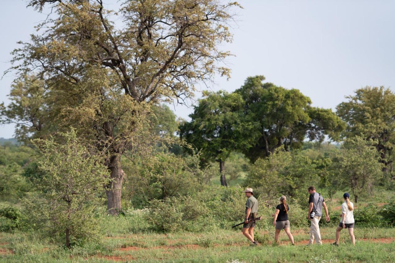 Senalala Safari Lodge photo 2