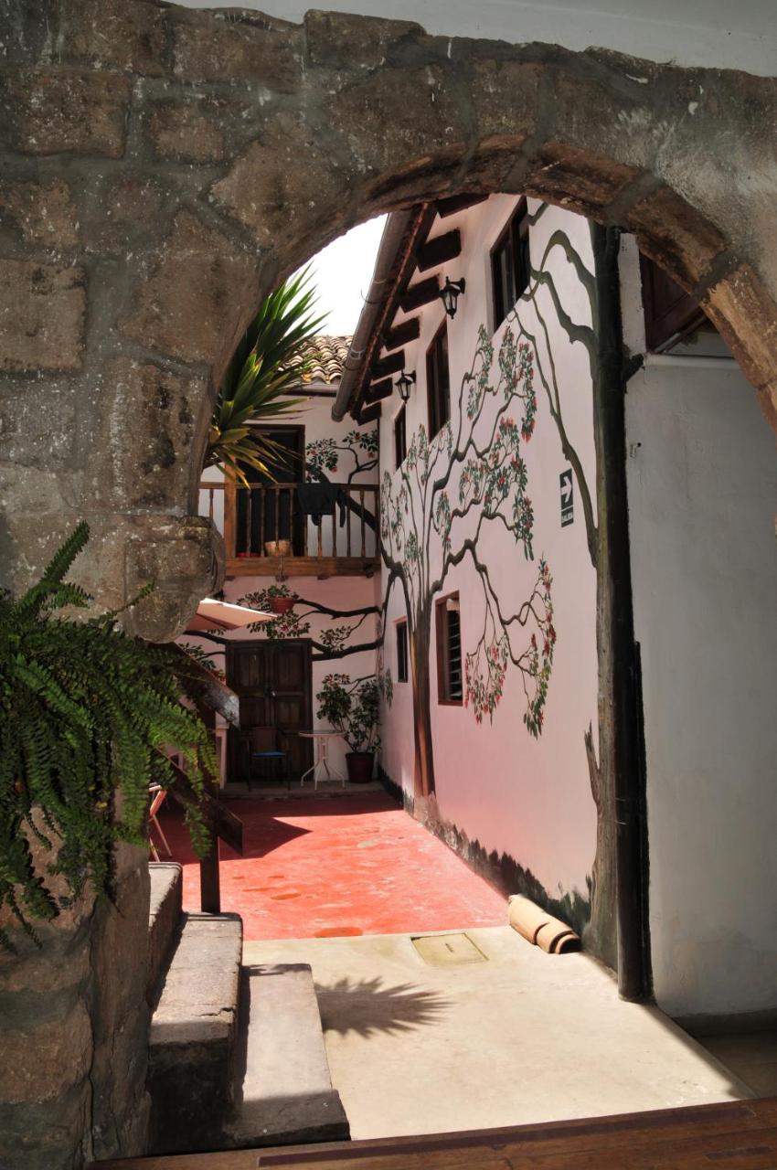 Tucan Hostel photo 2
