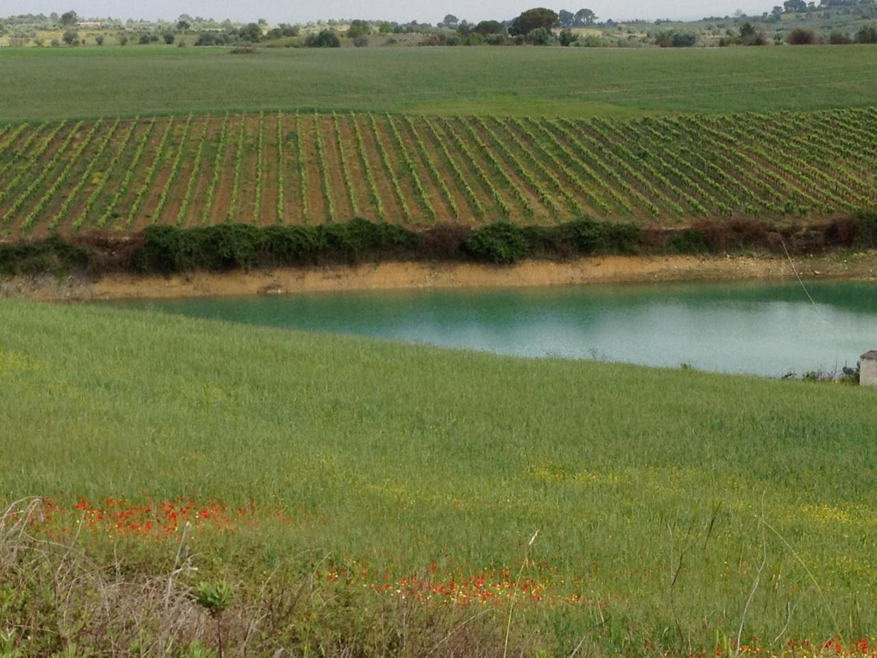Quinta da Lapa - 3