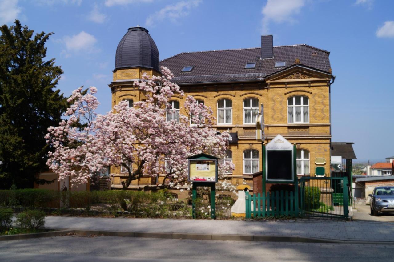 Hotel Am Kurpark photo 3
