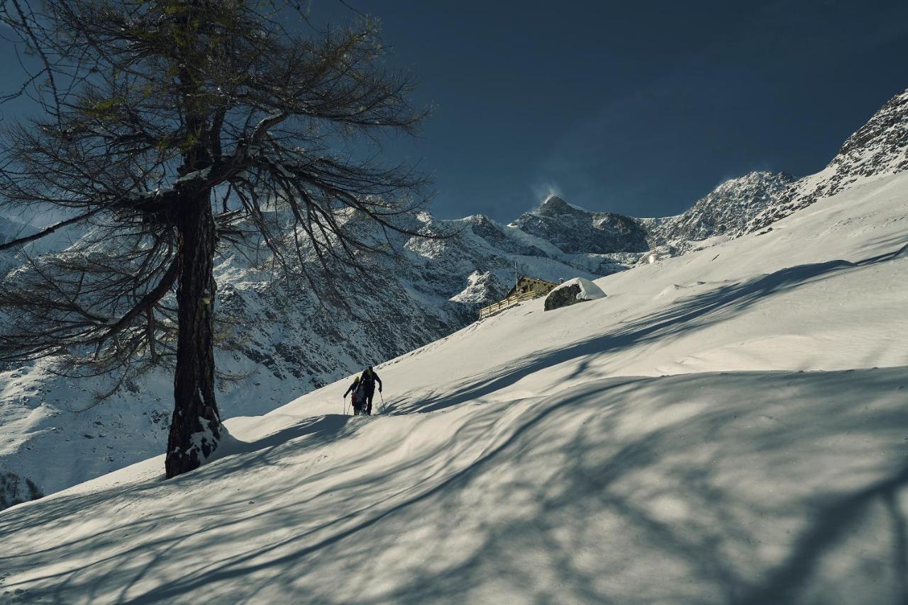 Photo - Hotel Marmotte