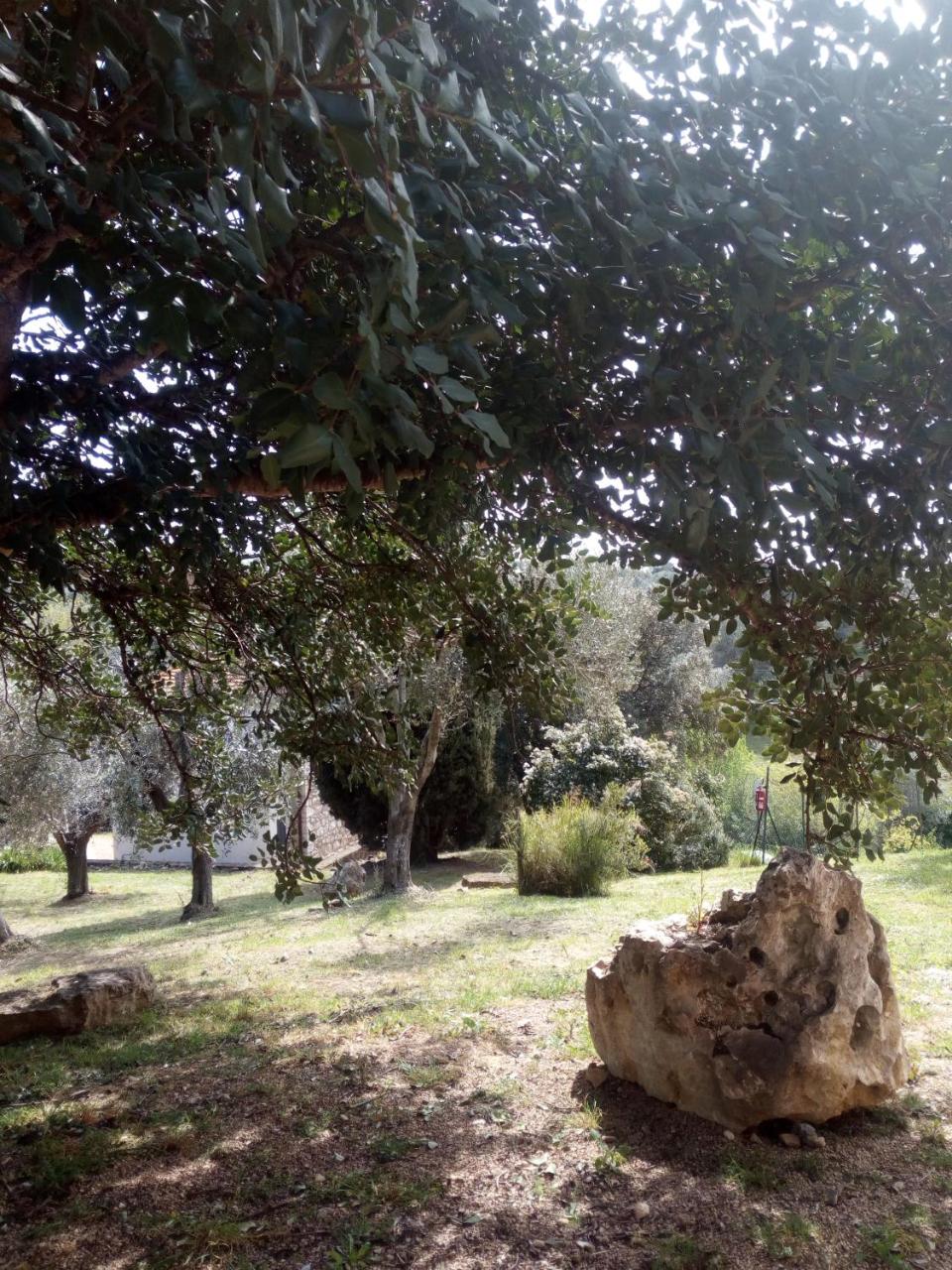 Case Cordovani photo 4