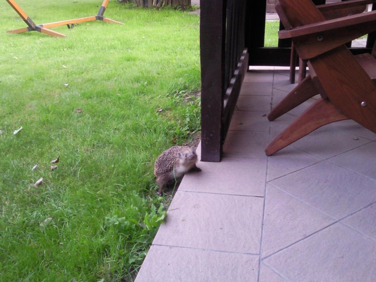 Pokoje Gościnne Ewa Nowicka photo 3