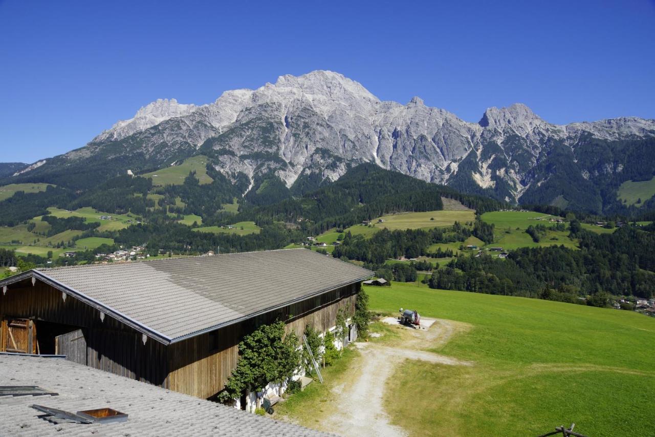 Paulingbauer photo 2