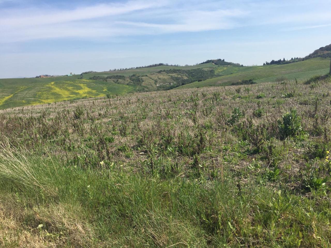 Cordella In Valdorcia Truffle and Olive Oil Resort photo 3