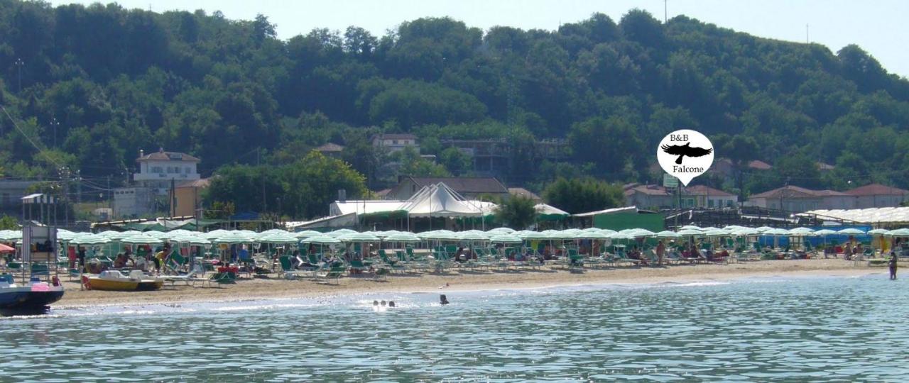 Foto - B&B Falcone