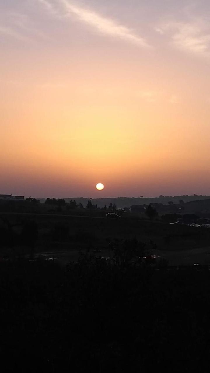 Abetarda CC photo 4