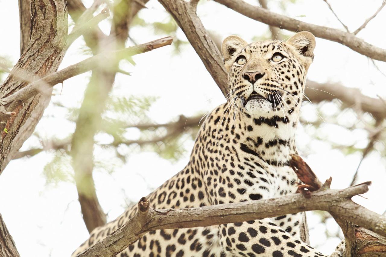 Vuyani River Lodge