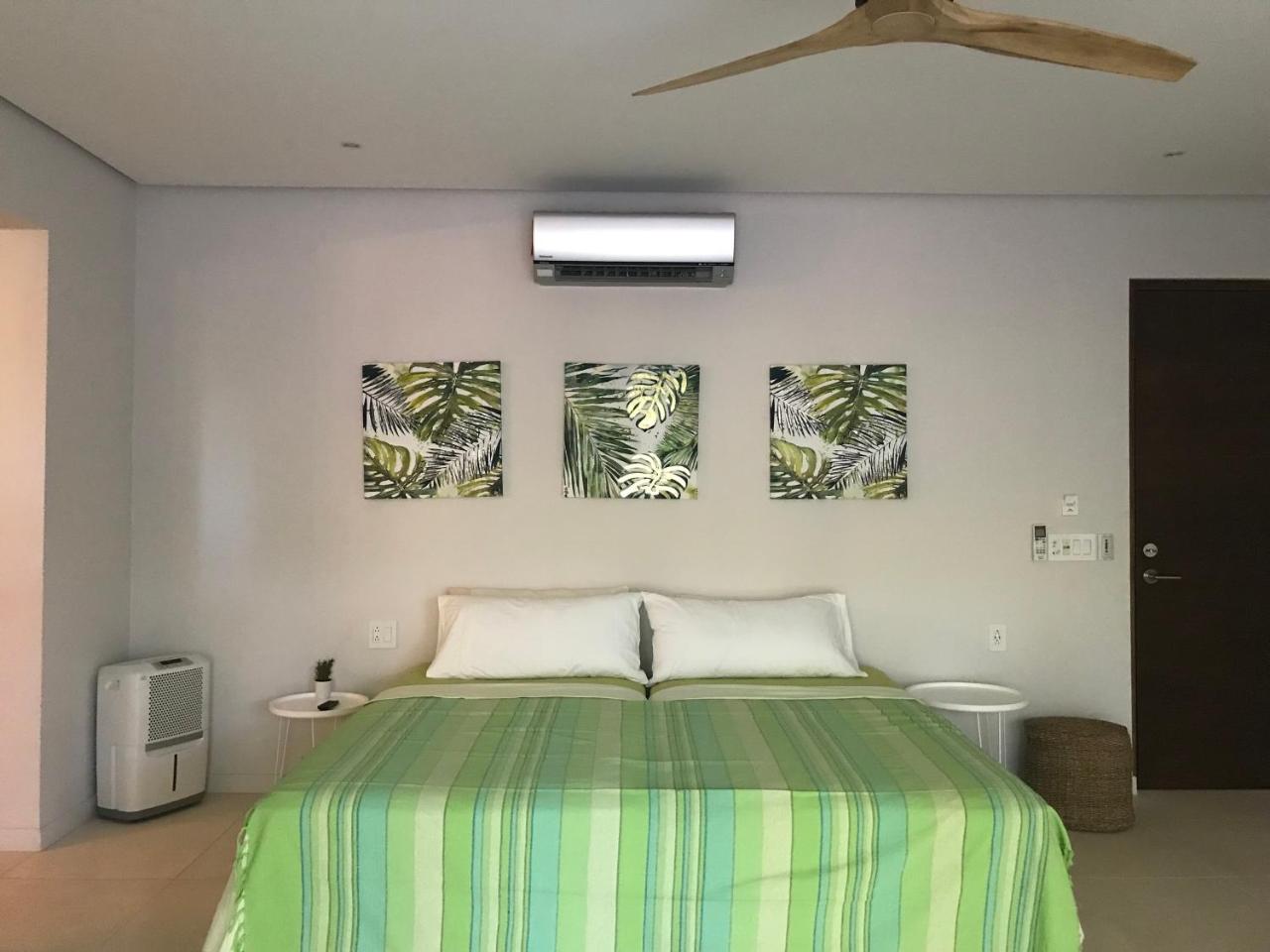 Casa Papito photo 4