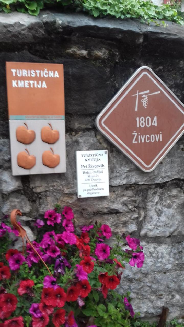 Apartmaji pri Živcovih - 2