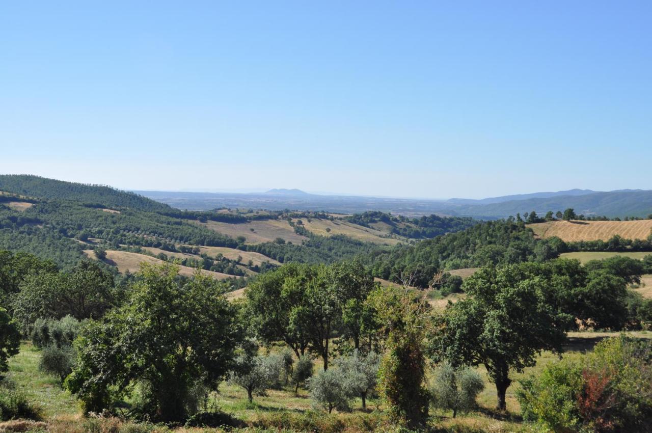 Agriturismo La Meria photo 2