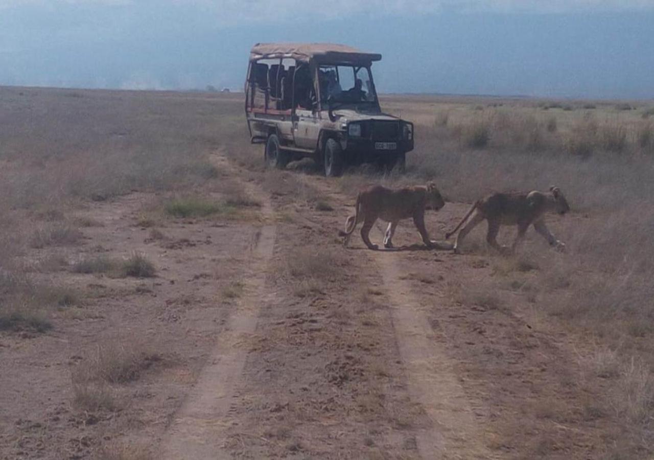 AA Lodge Maasai Mara photo 4
