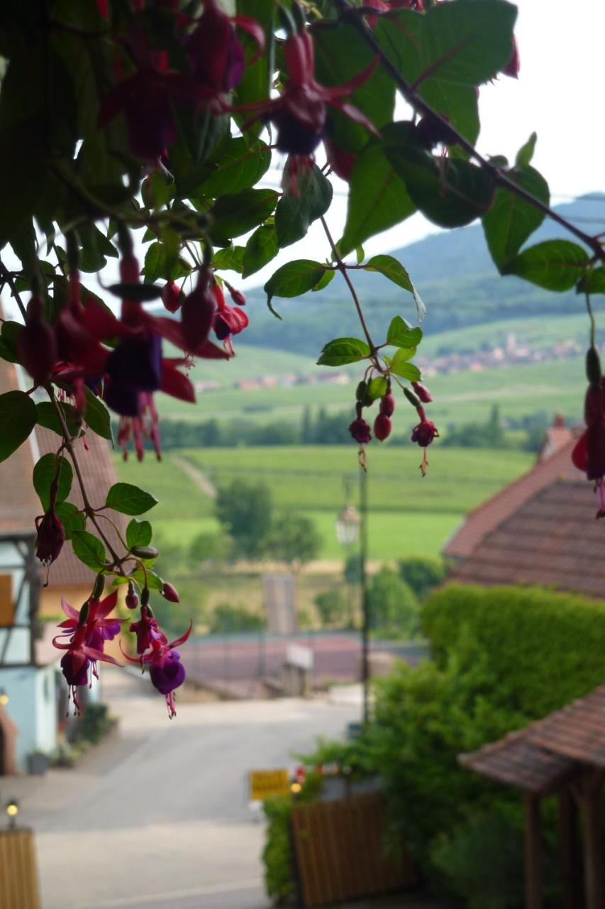 Maison Kieffer - Hotel & Vins d'Alsace photo 3