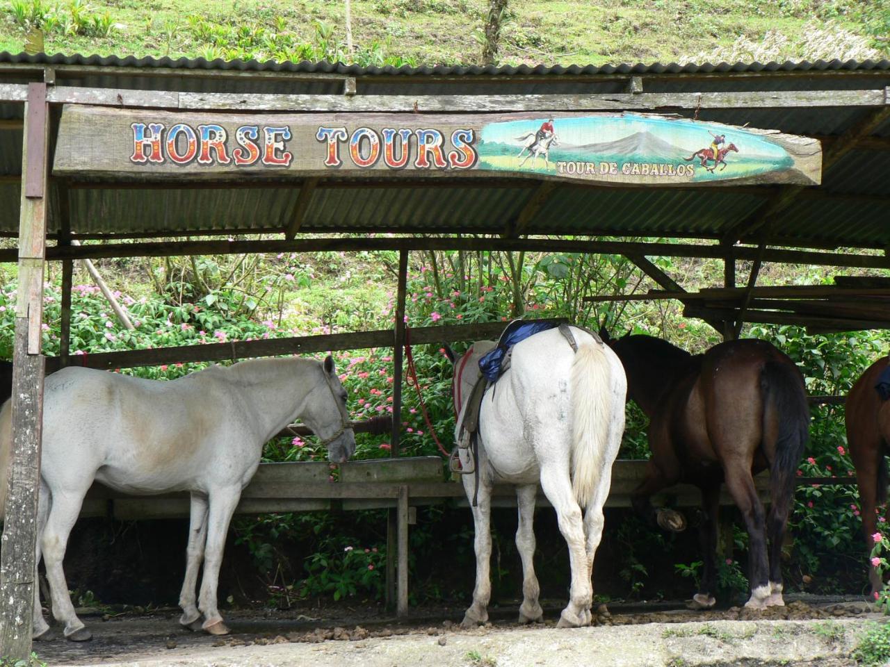 Hotel Arenal Lodge photo 2