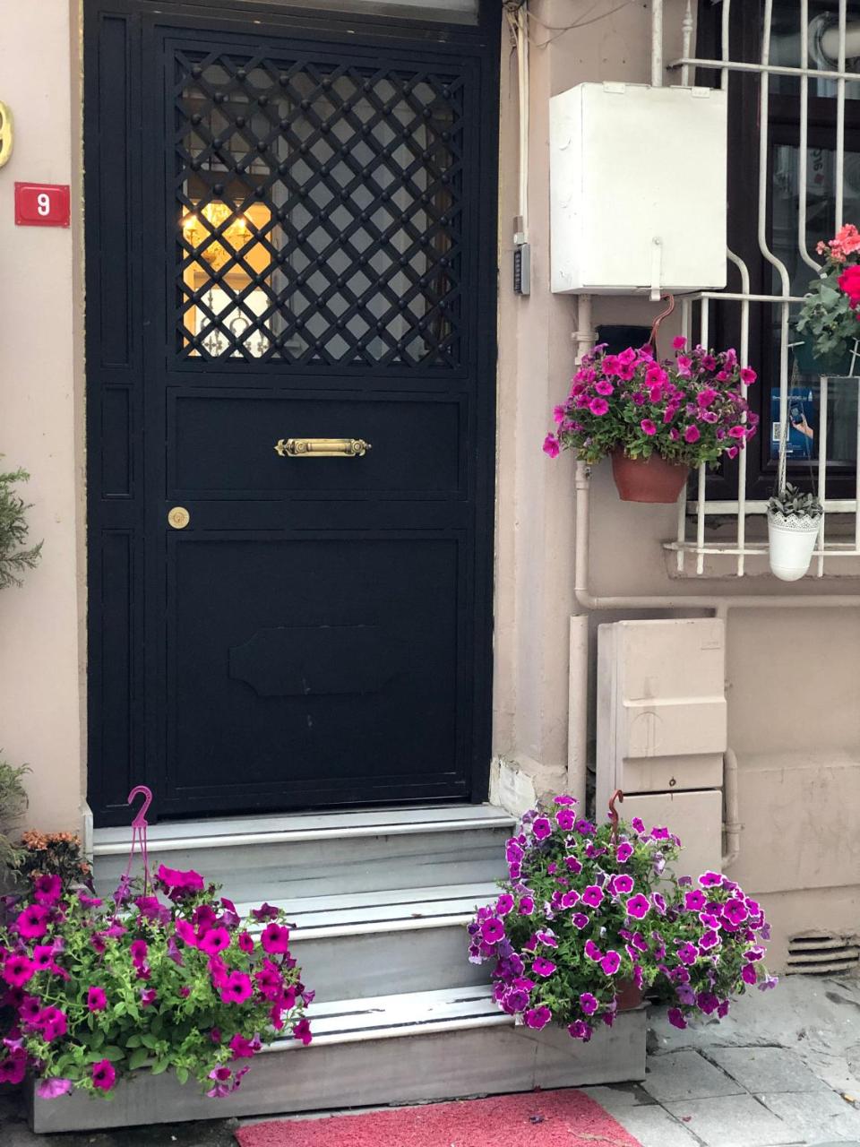 Photo - The House Of Tulpan