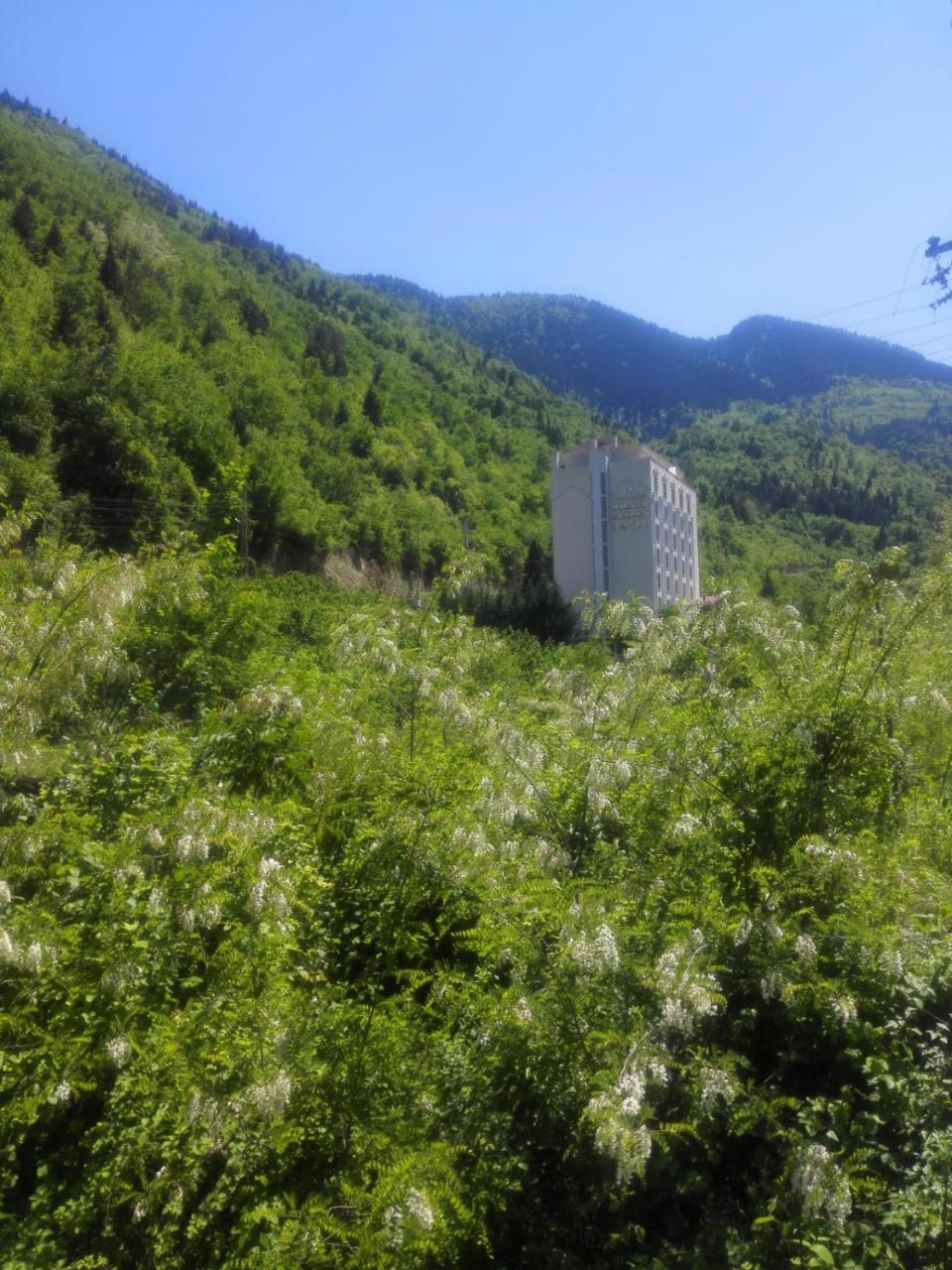 Jolnar garden hotel photo 2