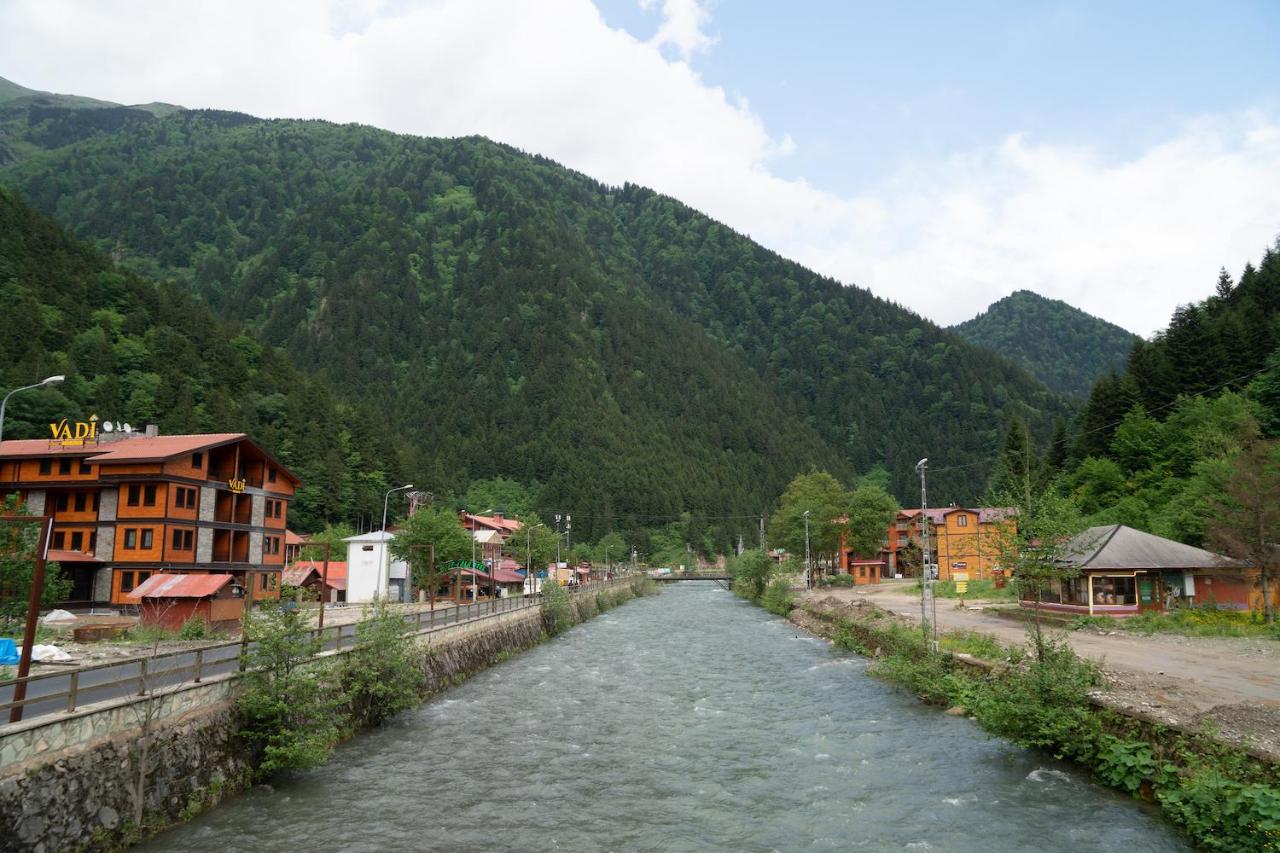 Uzungöl Kuzey Park Pansiyon photo 4