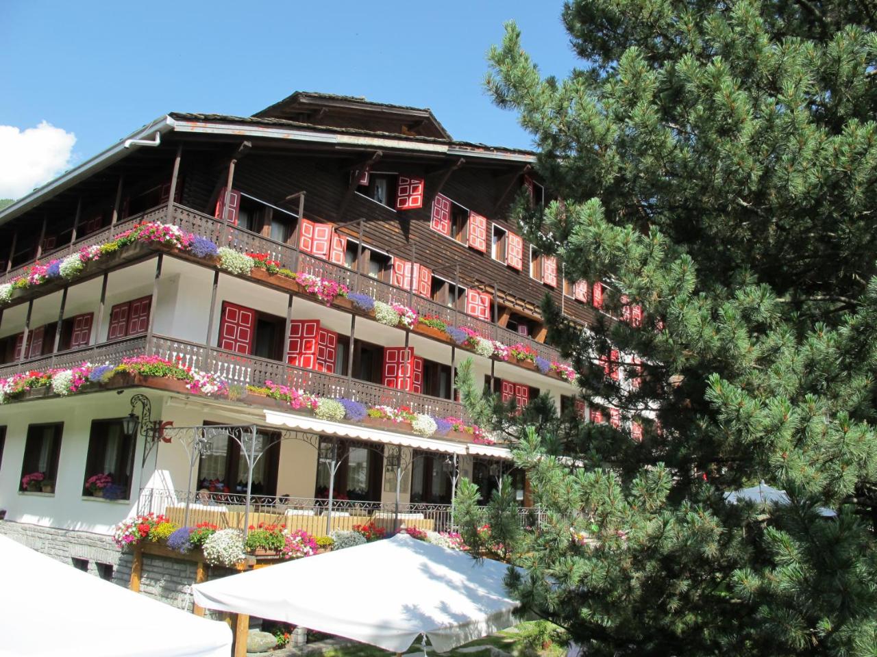 Hotel Castor photo 3