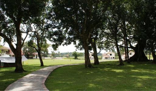 Tiuma Park photo 3