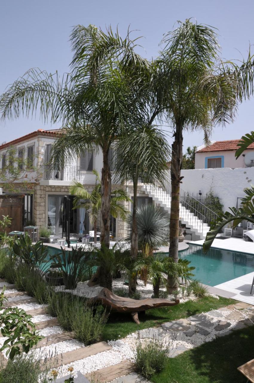 Alacati Ala Hotel - Special Category photo 2