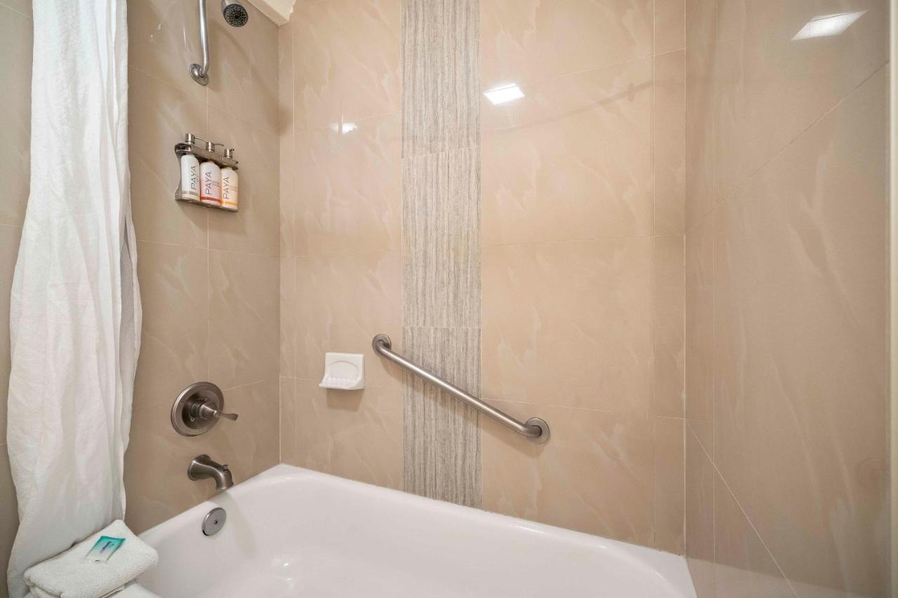 Lemon Tree Hotel and Suites photo 2