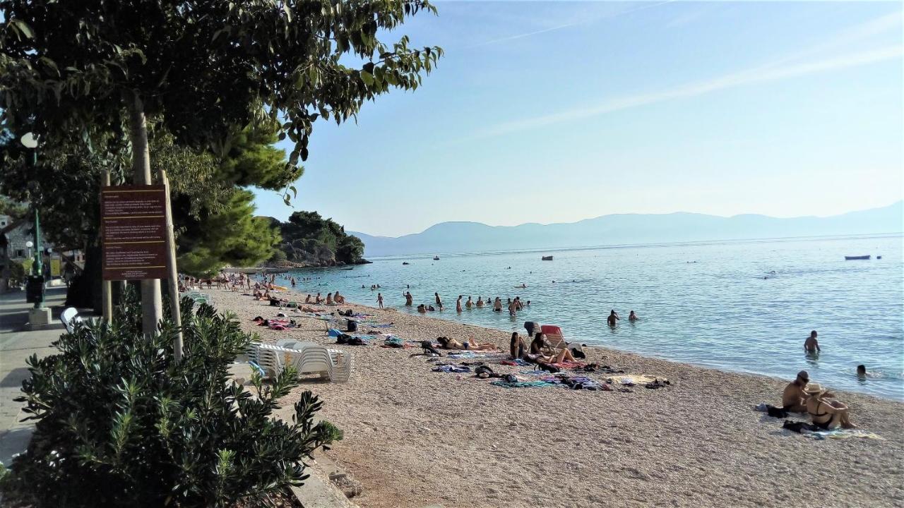 House Mergl Gradac - 5
