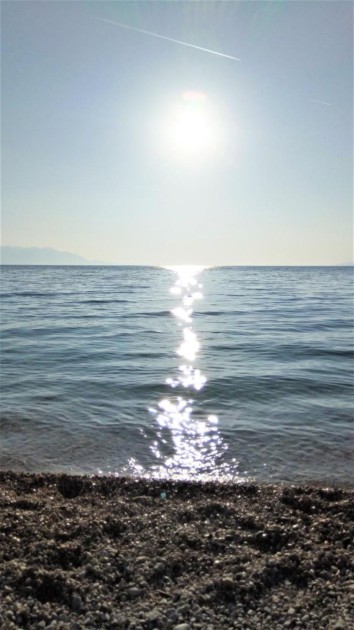House Mergl Gradac - 3