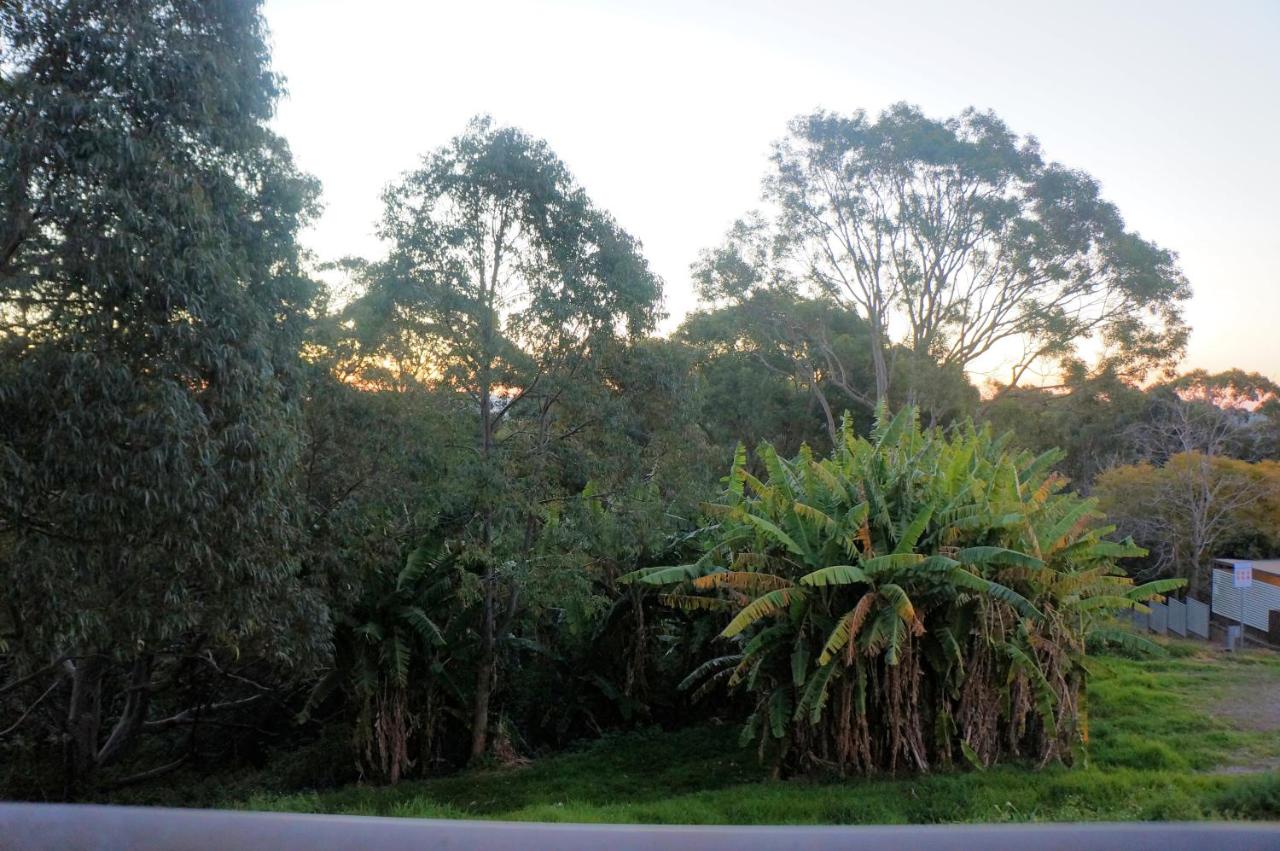 Panorama Motor Inn photo 2