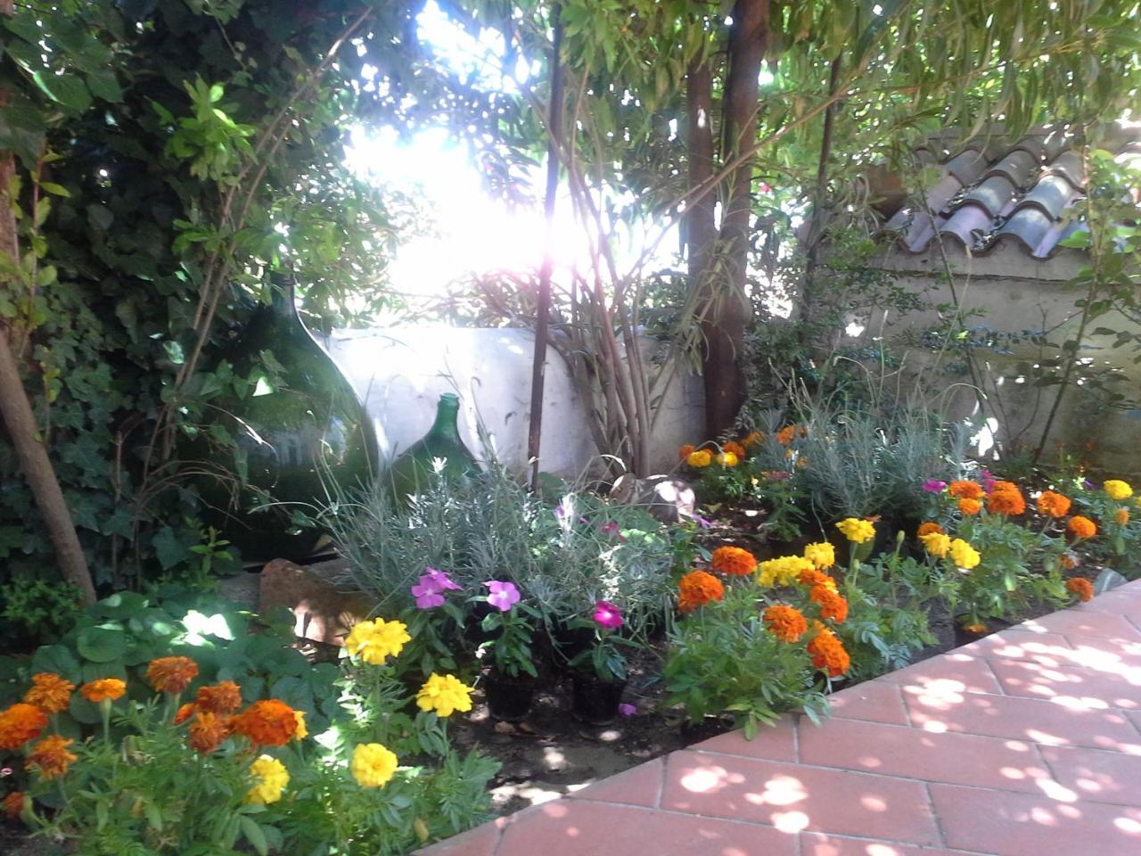 B&B Corte San Lussorio photo 2