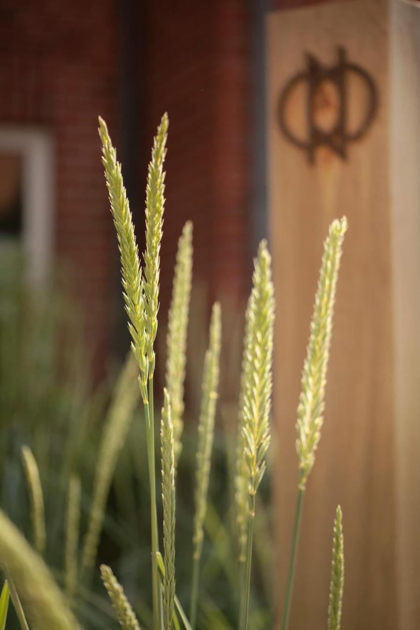 ONNO Boutique Hotel & Apartments photo 4