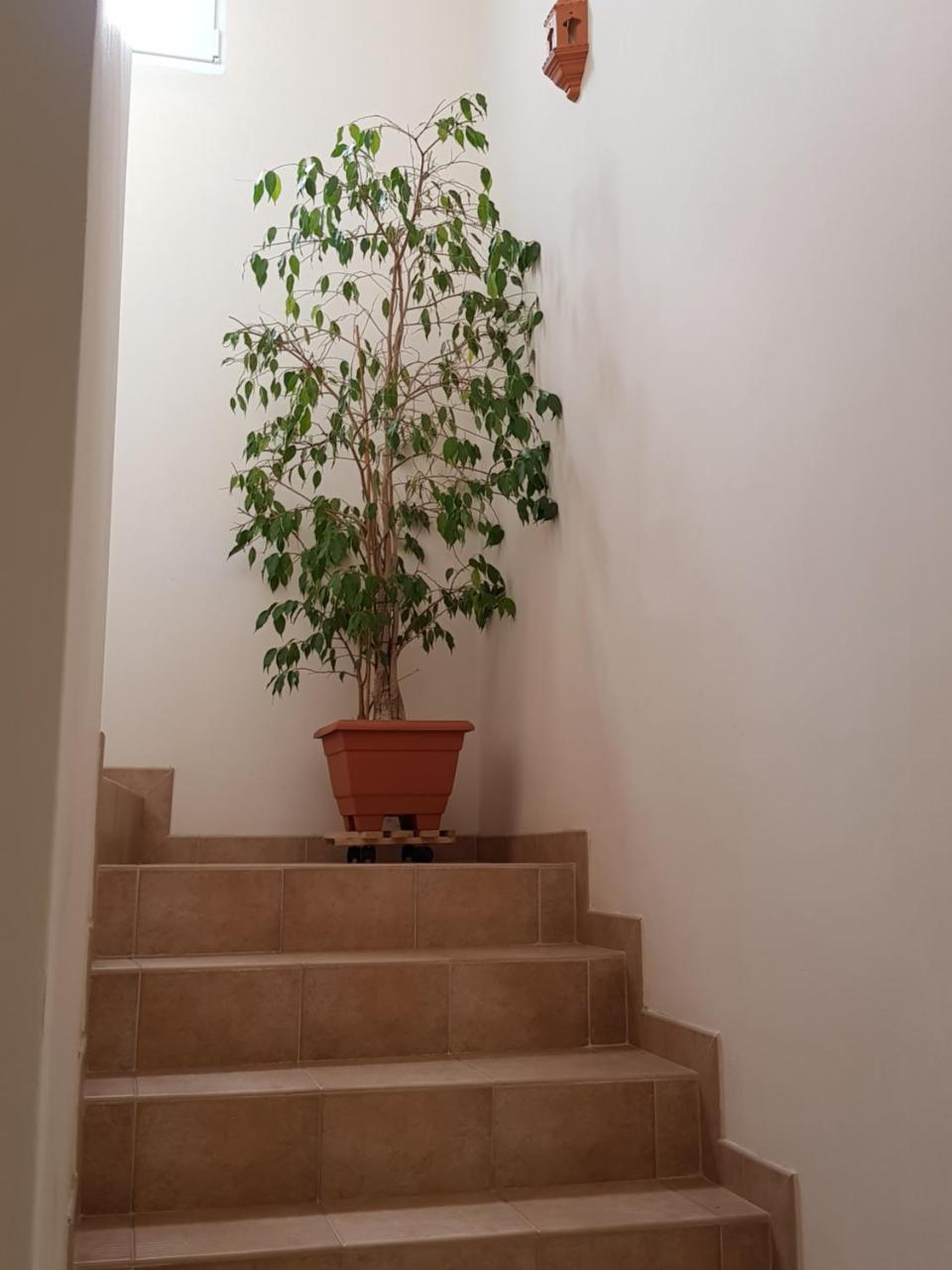 Apartamentos Hacienda de Arna - 4