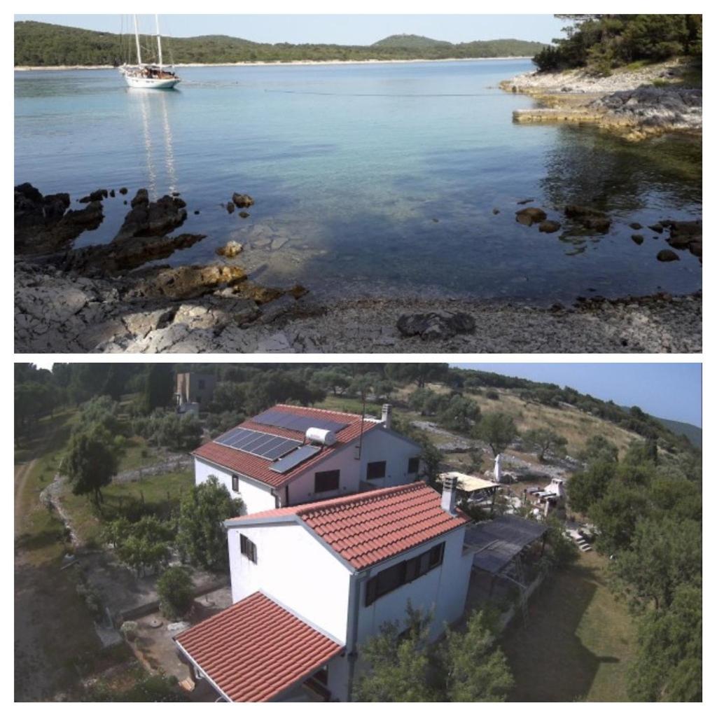 Eco Secluded apartments Zabodarski - 6