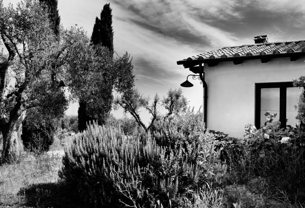 Orti di Capalbio photo 4