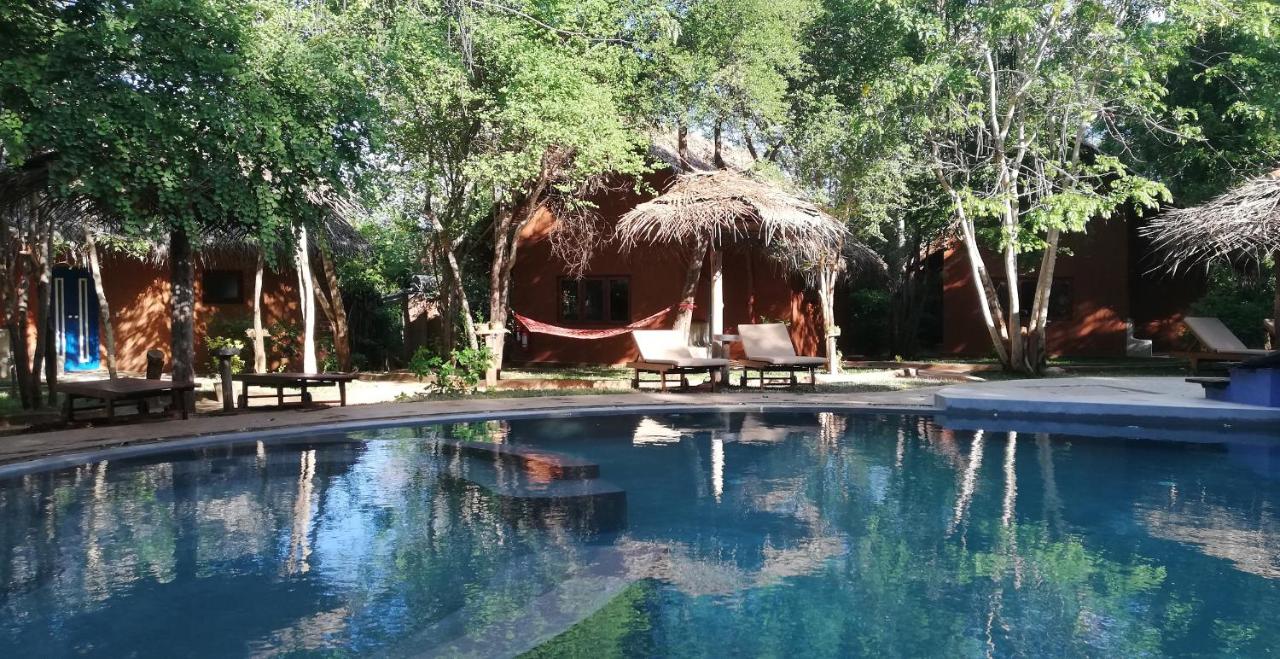 Foto - Kuwera Eco Lodge