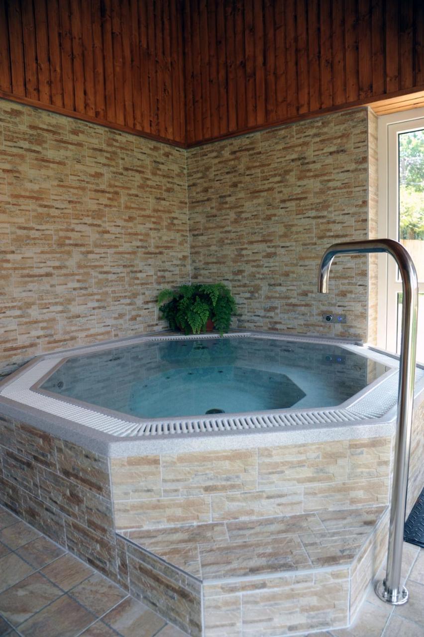 Arany Szőlő Wellness Apartmanház - 2