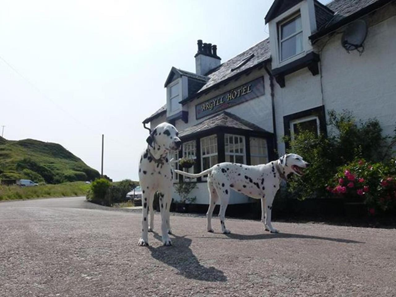 Photo - Argyll Hotel