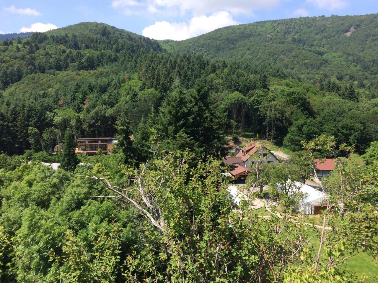 Foto - Domaine du Hirtz, Restaurant & Spa