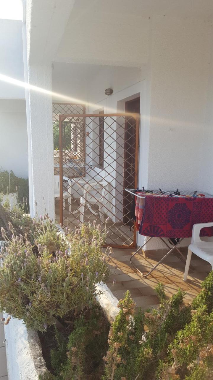 Aeolos Hotel Apartments - 5